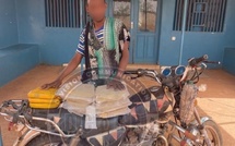 Ranérou : Saisie de 11 kg de chanvre indien dans la forêt de Namary