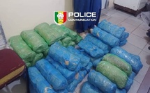 Saisie de drogue à Karang : 49 kg de chanvre indien interceptés par l'OCRTIS