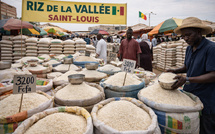 Riz local : Le gouvernement accorde une subvention de 50 FCFA par kilo aux acheteurs