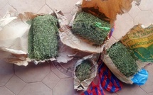 Sécurité frontalière : Importante saisie de stupéfiants à Médina Yoro Foulah