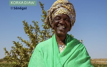 Portrait : Korka Diaw, la lionne du riz local dans la vallée du fleuve Sénégal