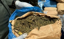 Kaffrine : Saisie de 1,6 kg de chanvre indien et arrestation d'un sexagénaire à Ndiok