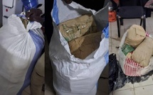 Ziguinchor : La Sûreté Urbaine saisit 6 kg de chanvre indien au quartier Kénia