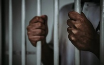 Saint-Louis : Démantèlement d'un réseau de faux cachets et d'assurances à Pikine