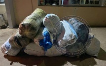 Mbour : Saisie spectaculaire de 840 kg de chanvre indien par la Gendarmerie