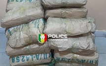 Kaolack : La Brigade des Stupéfiants saisit 25 kg de chanvre indien à Gagnick
