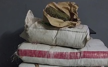 Course-poursuite à Sédhiou : La BRS intercepte 80 kilos de chanvre indien à Niadième