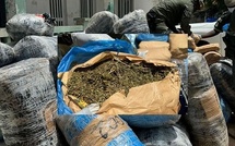 Kaolack : La Brigade des stupéfiants saisit 2 kg de chanvre indien à la frontière