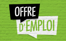 Carrière : Wave Mobile Money, ONG et Banques recrutent à Dakar