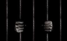 Vente illicite de viande : un individu déféré pour avoir tenté de griller de la viande de chien