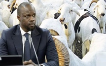 Tabaski 2026 : Ousmane Sonko ordonne l'exonération des taxes sur les moutons