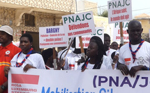 Érosion côtière et pollution : Le plaidoyer fort de la PNAJC à Saint-Louis