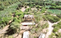 Richard-Toll : Le délégué de Thiabakh demande le déclassement de la forêt classée