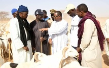 Tabaski 2026 : Le Sénégal et la Mauritanie facilitent l’importation de bétail