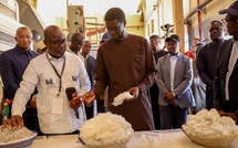 SODEFITEX : Production record de 25 000 tonnes saluée par le chef de l'État