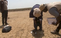 Saint-Louis : Enda Énergie au chevet des agriculteurs face au changement climatique