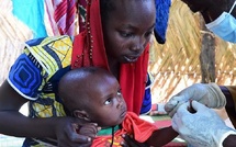 Paludisme : 47 pays déclarés exempts de la maladie selon le rapport 2026 de l'OMS