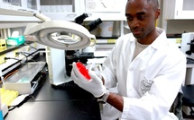 Recherche biomédicale : L'Inde offre des bourses internationales aux chercheurs sénégalais