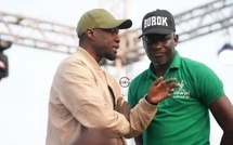 « Le projet s’appelle Ousmane Sonko » : La mise au point ferme d'Abass Fall