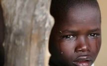 Infanticides et vengeances : quand l’enfant devient le bouclier sanglant des conflits d’adultes