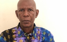 OPINION - Réflexion sur le jeu politique. Par Mamadou Diallo Poulo Dierry