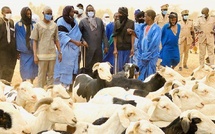 Tabaski 2026 : la Mauritanie envoie plus de 123 000 têtes pour le marché.