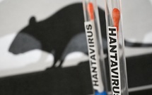Hantavirus : Le Sénégal est hors de danger, le Ministère de la Santé rassure les populations