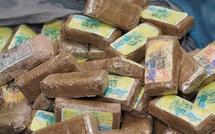 Karang : La Douane intercepte 3,5 kg de haschich d’une valeur de 17,5 millions FCFA