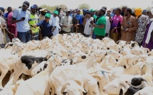 Opération Tabaski 2026 : Mabouba Diagne annonce un record de 47 322 moutons convoyés depuis le forail de Dahra
