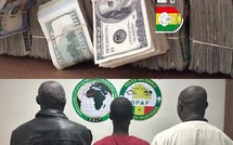 Trafic et fausse monnaie : la DNLT démantèle un réseau criminel d'escroquerie au visa et de faux monnayage