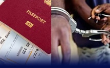 Justice : Deux complices d'une escroquerie au visa pour la Belgique déférés par la DNLT à Dakar