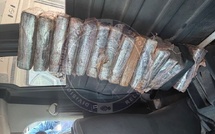Dakar : Saisie record de 92 kg de cocaïne par la gendarmerie à Keur Massar »