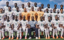 Après le 3-1 face à la France, les Lions soufflent avant le défi Haaland