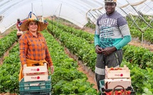 Migration circulaire : une deuxième cohorte de 50 travailleurs agricoles départ pour l'Espagne