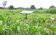 Agriculture : l'ENSA et le PRODAC signent une convention pour l'innovation et l'insertion des jeunes