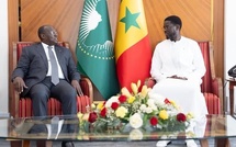 Diomaye Faye reçoit le vice-président ivoirien Tiémoko Meyliet Koné