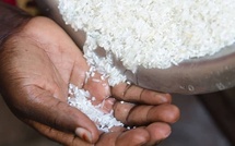 Aflatoxines dans le riz : le ministère du Commerce dément la polémique