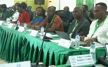 Saint-Louis : AfricaRice forme 14 pays aux bonnes pratiques rizicoles