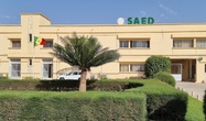 ERRATUM | SAED : le syndicat réclame le paiement des avances mais ne menace pas de grève ERRATUM | SAED : le syndicat réclame le paiement des avances mais ne menace pas de grève