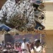 El Hadji Amadou Sow Ndiaye