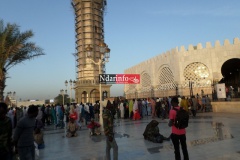 SAM_2031