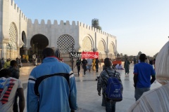 SAM_2032