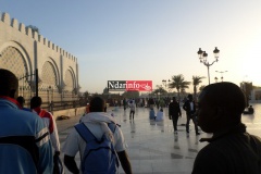 SAM_2033