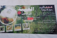 SAM_2078