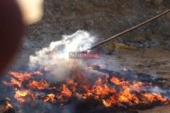 10406428_10205737717665953_4147024731403522514_n