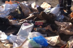 10410386_10205737706065663_4960456630269947433_n