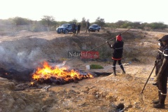 14597_10205737716505924_5180763037284931528_n