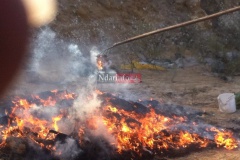 14597_10205737718065963_1678243401744659082_n