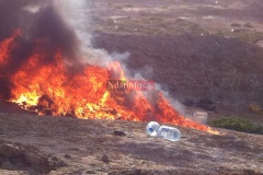 1452241_10205737729786256_7128132465826031558_n