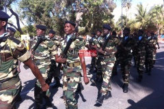 10858574_10205750044734122_6707832994742433886_n